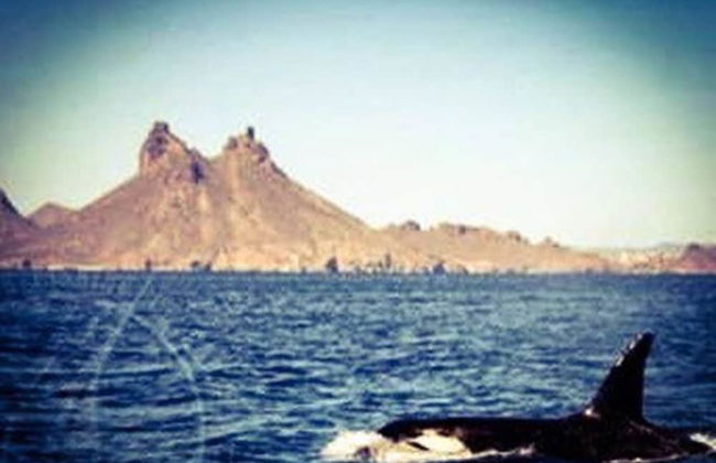 Big House Pool Grill, 4 Bedrooms 12 ppl AC Ocean View TV Wifi - Foto 34