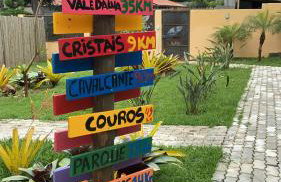 Capim Canoa - Foto 41