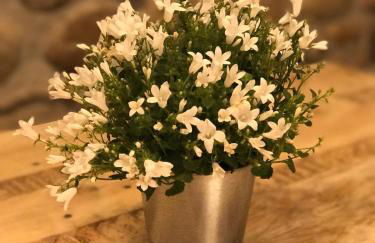 La Grotta - Photo 24