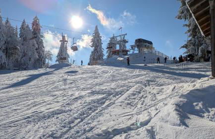 Apartmán Almberg - Mitterdorf - Mitterfirmiansrout - Foto 35