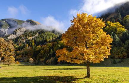 Ferienwohnungen Schwarzer in Seehausen am Staffelsee - Foto 22