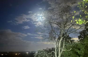 Luxury Mtn Log Home- Sevier Lodge at May Ridge - Foto 11