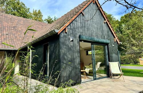 Dépendance de charme entre Disney et Paris - Foto 2