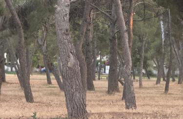 Villetta Tina - Foto 29