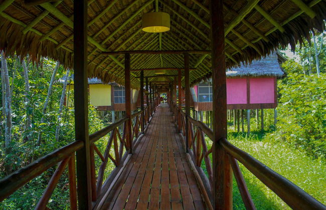 3 or 4-Day Yanamono Forest Tour - Photo 8