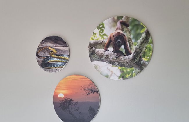 Parakreek Apartments - Photo 12