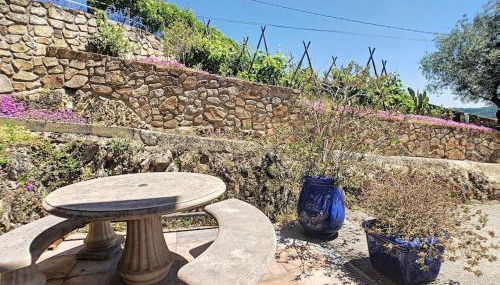 Condrieu, le Châtillon au cœur du vignoble belle vue sur vallée du Rhône - Foto 2