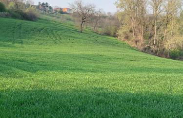 Casa Capoleto - Foto 39