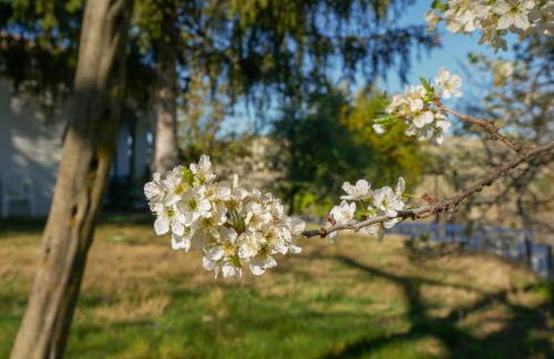 Villa Ricardo - Foto 53