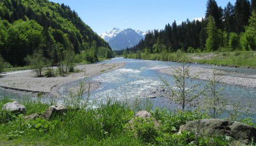 Gästehaus Bergfrieden - Foto 5