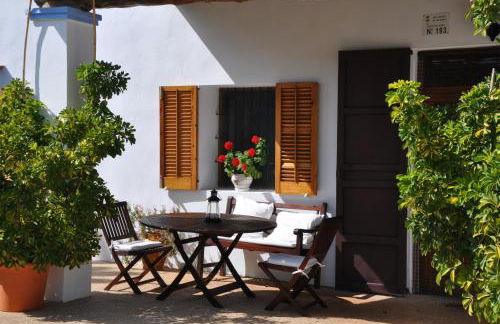 Agroturismo Sa Vinya d'en Palerm - Foto 57