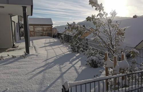 Panoramablick mit Premium-Wanderwegen vor der Haustür - Foto 52