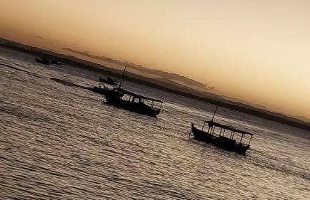 Serena Morro - Foto 5