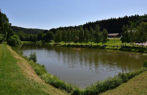 Cottage in Saint-Quirin by Lake & Town - Foto 40