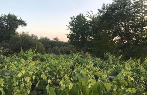 Casa de Labranza Naz - Foto 26