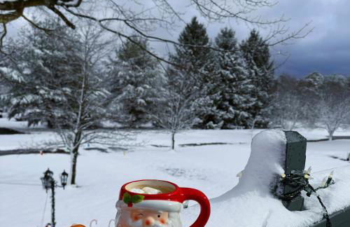 Farm Country House with Pool and Huge Property - Foto 51