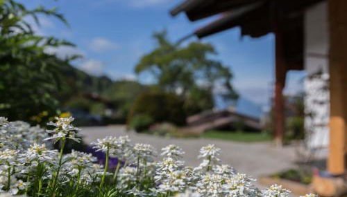 Haus Christl - Foto 5