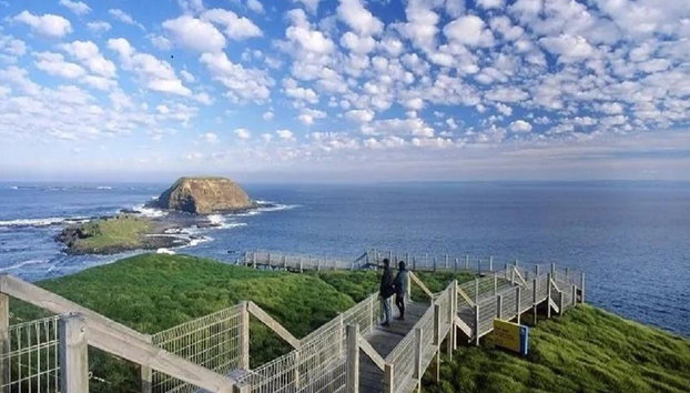 Discover Phillip Island - Full-Day Tour - Photo 4