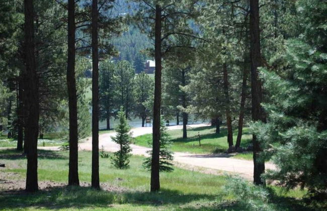 Outdoor Fire Pit, Wildlife Watching, Monte Verde Lake Ponderosa - Foto 5