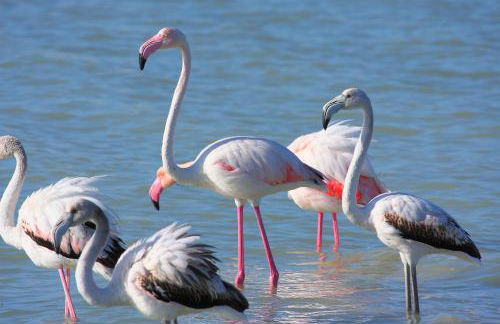 Casa Sunset - Foto 79