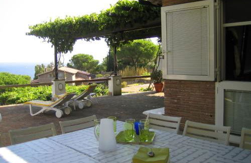 La Bouganville - Foto 7