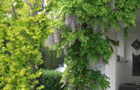 Appartement Am Goldberg - Photo 6