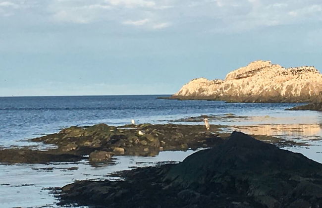 Heron's Nest Cottages - Foto 57