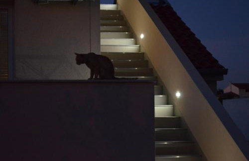 Apartments Tomas - Foto 27