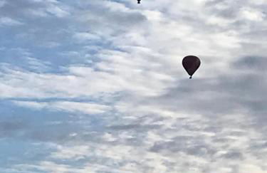 Schwalmala Logement calme au coeur du vignoble - Foto 30