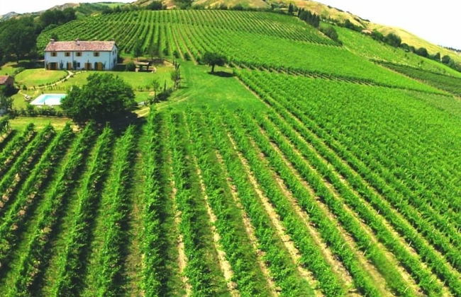 Verdidea - Podere la Casetta - Foto 35