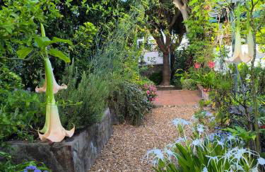 Casa Flora Garden Studio (Gite) - Foto 19