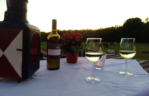 Filmschiff ERBSE - Foto 37