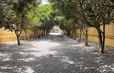 Barracuda ByTheSea - Foto 15