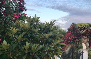 Floros Apartments - Foto 3