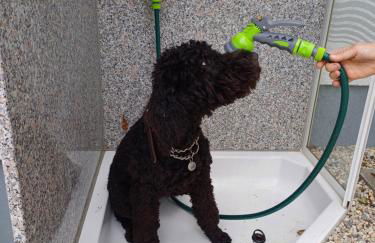 Haus Kleiner Findling im Lausitzer Seenland - Foto 42