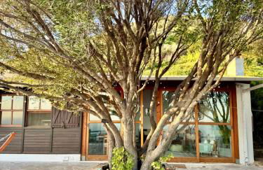 Olive Tree Oasis - Coastal Charm & Sea Views - Foto 40