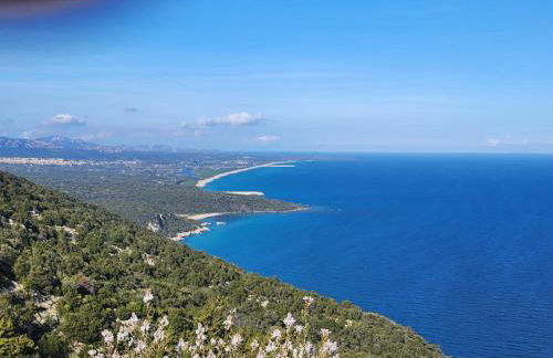 Casa Delle Rose - Foto 36