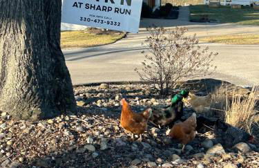 The Barn at Sharp Run-Modern Barn in the heart of Amish Country - Photo 16