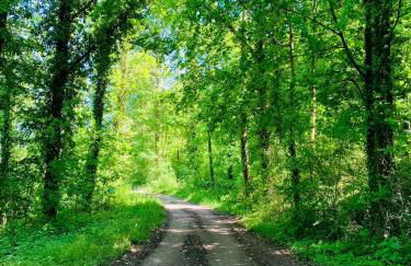 Ferienwohnung Aurora - WLAN, 2 Schlafzimmer, TV, Küche, Bad, Waschmaschine - Foto 30