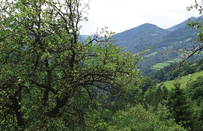 Farmhouse Blackberry Pool Wellness - Photo 21