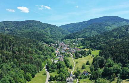 Ferienwohnung Schwalbennest - Foto 34