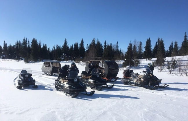 Bear Corner Lodge - Photo 38