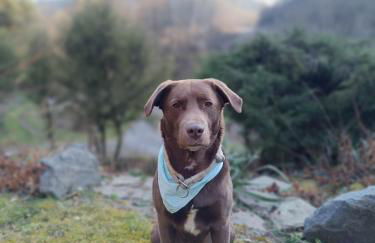 Landhaus Sonnenwinkel - Foto 17