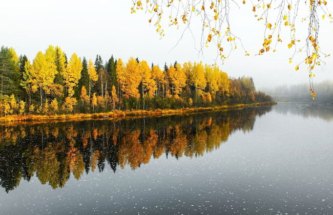 The Iconic Wikkelä Villa - Foto 57