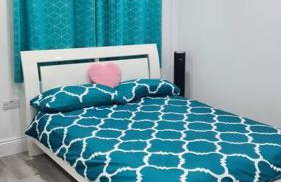 Luxury studio with parking whole unit to yourself - Photo 3