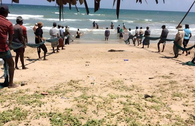 Dolphin Bay Cabana Resort - Photo 14