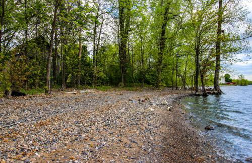 The Bird's Nest - Foto 32