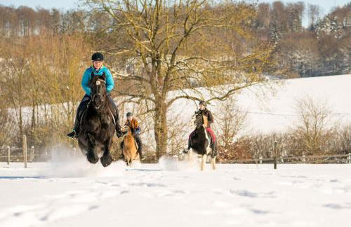 Ferienhof Homann Sauerland - Foto 11