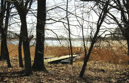 Ferienwohnung, Lohmen - Foto 20