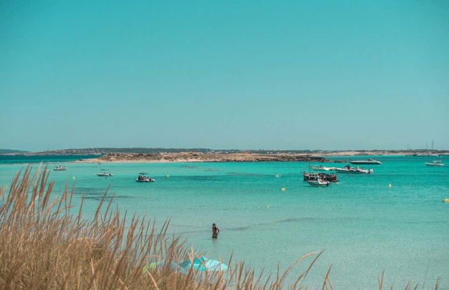 Escursione a Formentera e Cala Saona - Foto 17